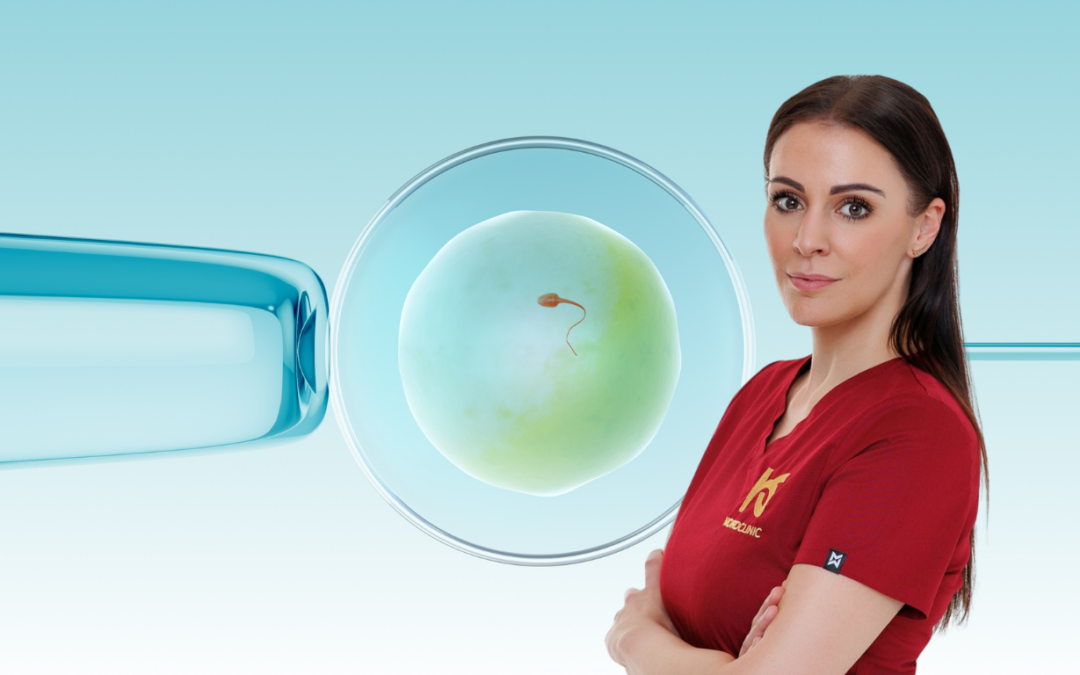 Meddőség: hogyan segíthet az endometriális immuntérkép?